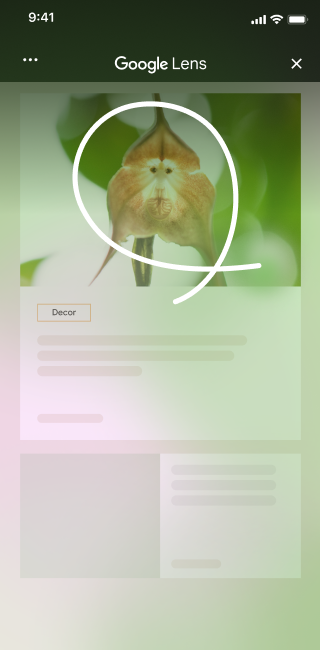 On a home decor site with an image of a unique flower, an iphone user opens the page tools and selects 